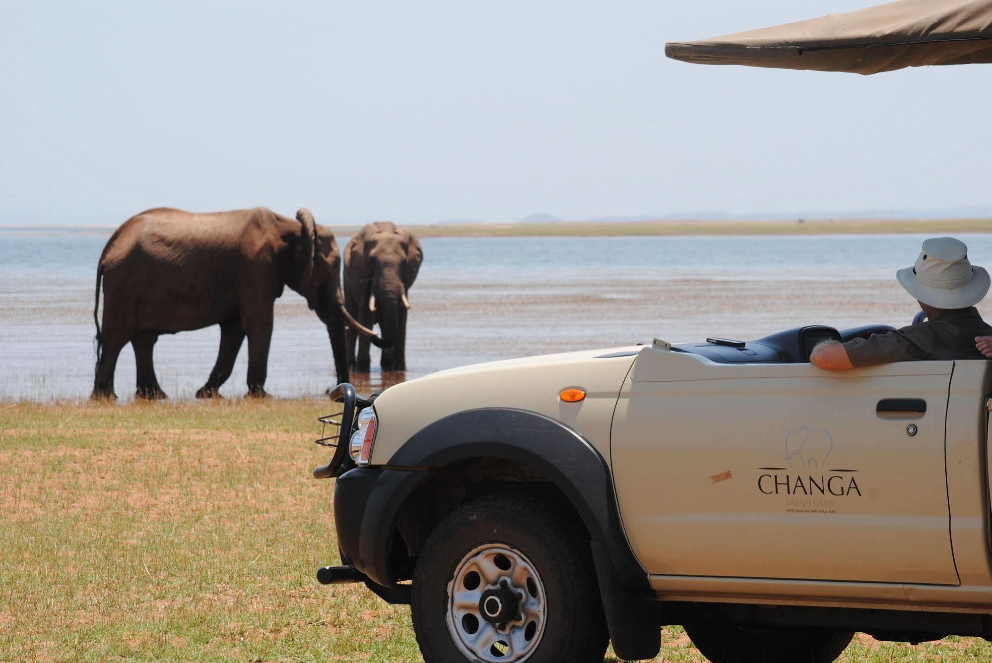 Changa Safari Camp Matusadona National Park 외부 사진